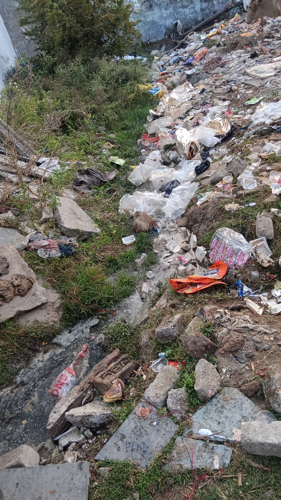 वार्ड संख्या 06 की मूलभूत व्यवस्था बेहद लचर, जगह जगह स्ट्रीट लाइट बंद गंदगी चारों ओर फैली, जिम्मेदार मौन।